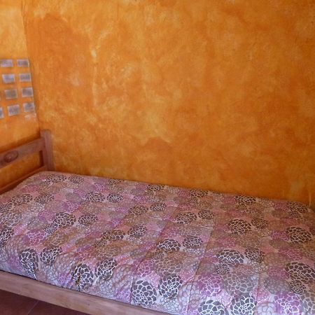 Hostel El Toconar サン・ペドロ・デ・アタカマ エクステリア 写真