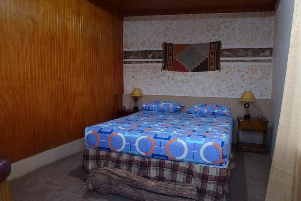 Hostel El Toconar サン・ペドロ・デ・アタカマ エクステリア 写真